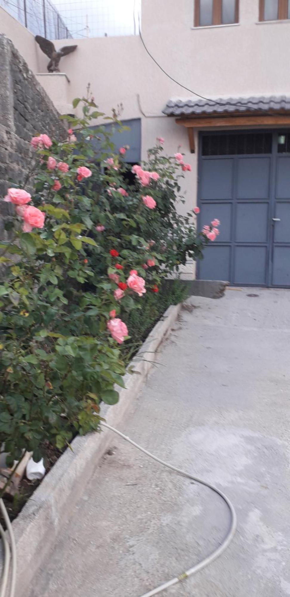 Shena Guest House Gjirokastër Exterior foto